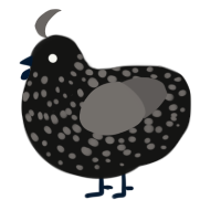 A black and grey chicken with a speckle pattern