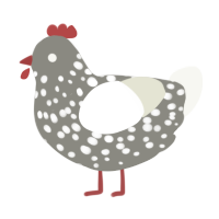 A ash and white chicken with a speckle pattern