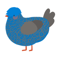 A sapphire and grey chicken with a double-lace pattern