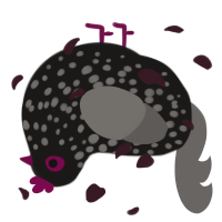 Misha, a sable and grey chicken with a speckle pattern