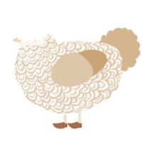 A white and beige chicken with a double-lace pattern