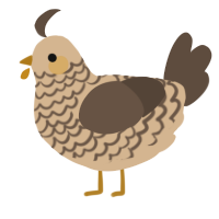 A beige and bark chicken with a lace pattern