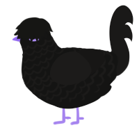 Anthelion, a black and sable chicken with a lace pattern