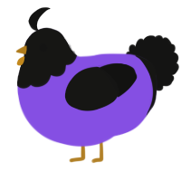 A blurple and black chicken with a head pattern
