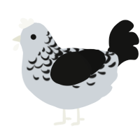 Fineprint, a mist and black chicken with a half-lace pattern