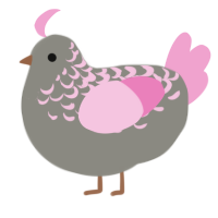 A ash and pink chicken with a half-lace pattern