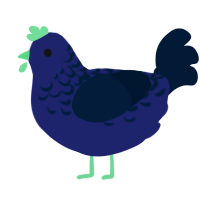 Midnight, a navy and tumblr chicken with a half-lace pattern