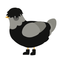 Pidge Avenue, a black and ash chicken with a head pattern