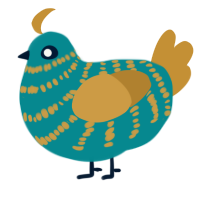 Gorden, a teal and gold chicken with a bar pattern
