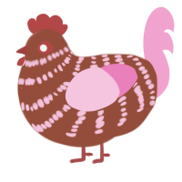 Choco, a russet and pink chicken with a bar pattern
