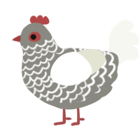 (unnamed), a ash and white chicken with a lace pattern