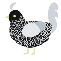 Xbox, a black and mist chicken with a double-lace pattern