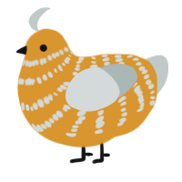 A orange and silver chicken with a bar pattern