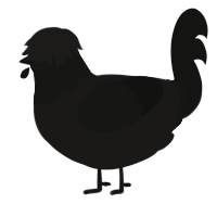 Corvid, a sable and black chicken with a head pattern