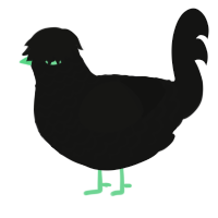 Constellations, a black chicken with a lace pattern