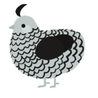 paper cutout, a silver and sable chicken with a lace pattern