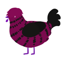 A wine and black chicken with a bar pattern