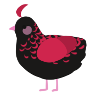 chan, a sable and crimson chicken with a half-lace pattern