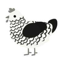 A white and sable chicken with a lace pattern