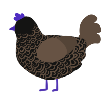죽은 신, a black and bark chicken with a double-lace pattern