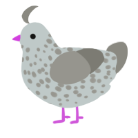 Smokey, a silver and ash chicken with a speckle pattern