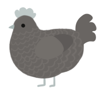 pavemet, a grey chicken with a lace pattern