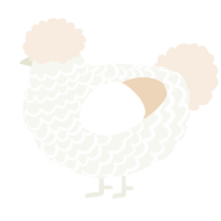 Tempête de Neige, a white and cream chicken with a lace pattern
