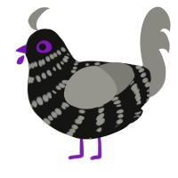 A black and ash chicken with a bar pattern