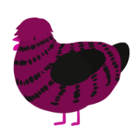 Black Cherry, a wine and black chicken with a bar pattern