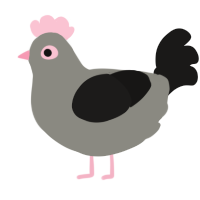 joe pigeon, a ash and sable chicken