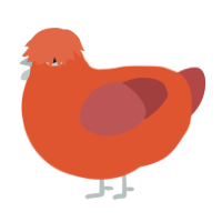 A vermilion and red chicken