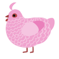 (unnamed), a pink chicken with a lace pattern
