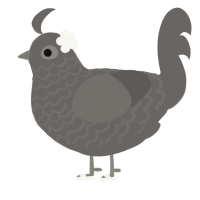 grant, a grey chicken with a lace pattern