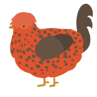 Pumpkin Spice, a vermilion and bark chicken with a speckle pattern