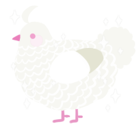 Pompom, a white chicken with a lace pattern