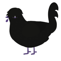 Duskie, a black chicken with a speckle pattern