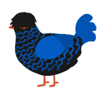 (unnamed), a sable and ultramarine chicken with a lace pattern