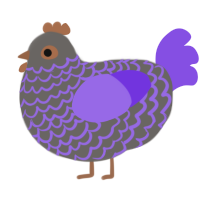 Purpurite, a grey and blurple chicken with a lace pattern