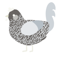 The Bells, a grey and mist chicken with a double-lace pattern