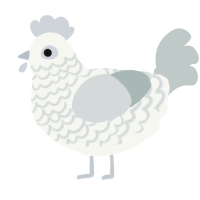A white and silver chicken with a lace pattern