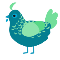 shorts, a sea and spring chicken with a half-lace pattern