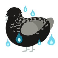 Ghostie, a sable and ash chicken with a half-lace pattern