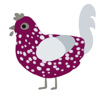 Unknow name, a wine and mist chicken with a speckle pattern