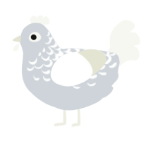 A mist and white chicken with a half-lace pattern