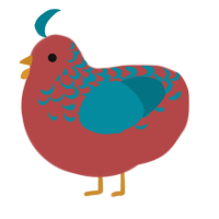 Sir Agravaine, a red and sea chicken with a half-lace pattern