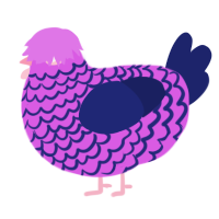 Jeans, a orchid and navy chicken with a lace pattern