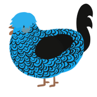 A sky and black chicken with a double-lace pattern