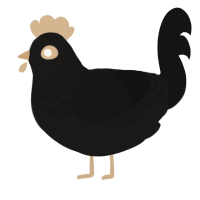 Crow, a sable and black chicken with a half-lace pattern