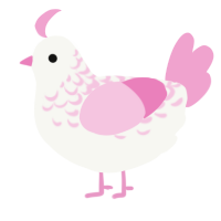 Cherry Blossom, a white and pink chicken with a half-lace pattern