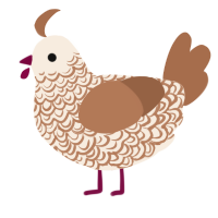 Cinamin Toast Crunch, a cream and brown chicken with a double-lace pattern